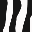 BigBlogZoo icon